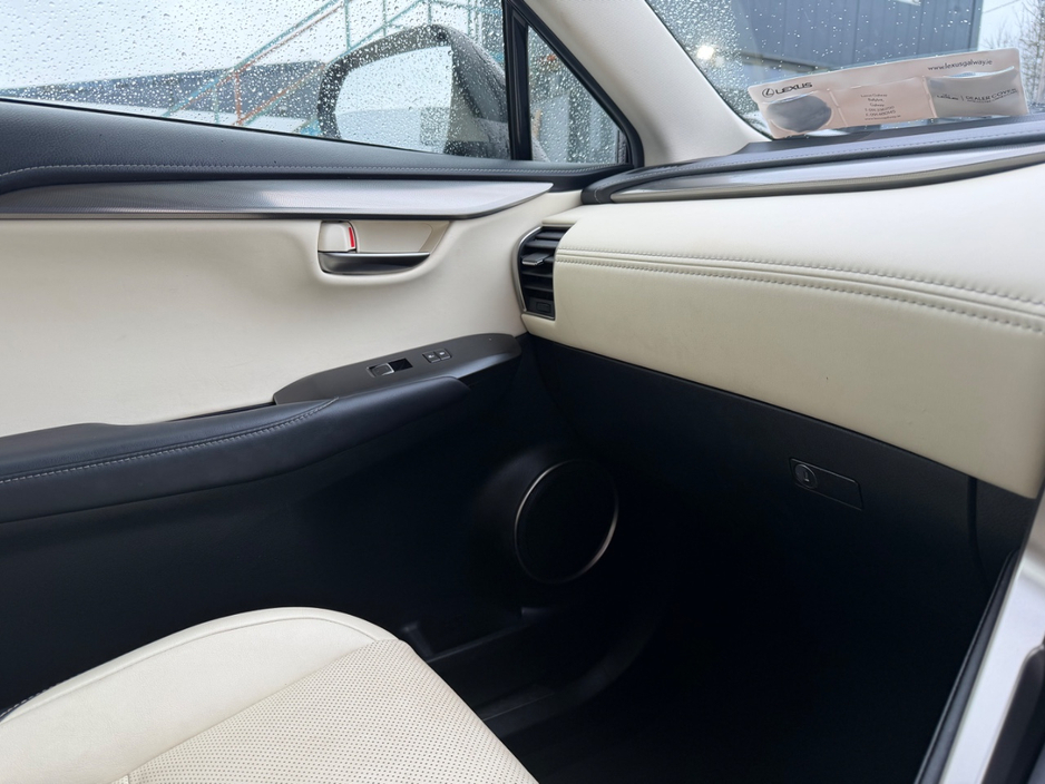 2020 Lexus NX 300 h - image 30