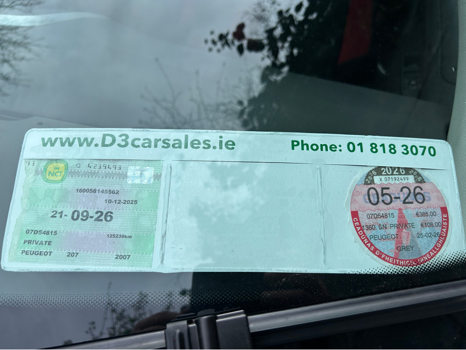 2007 Peugeot 207 - image 11