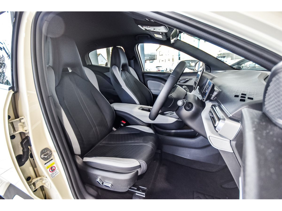 2026 BYD Dolphin Surf - image 10