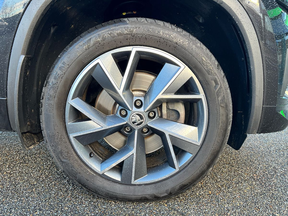 2023 Skoda Kodiaq - image 5