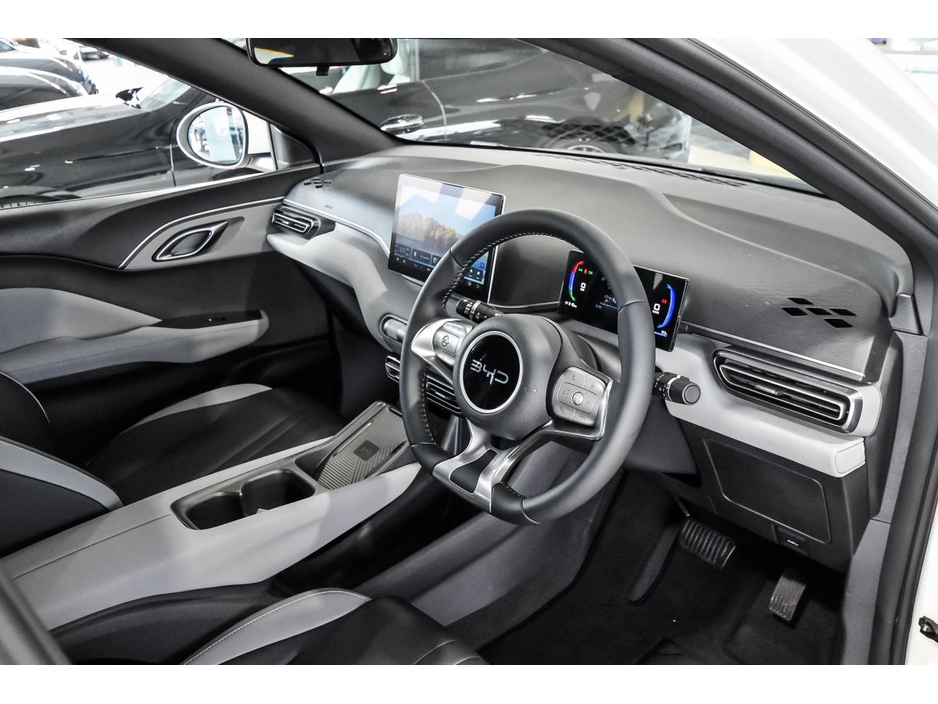 2026 BYD Dolphin Surf - image 9