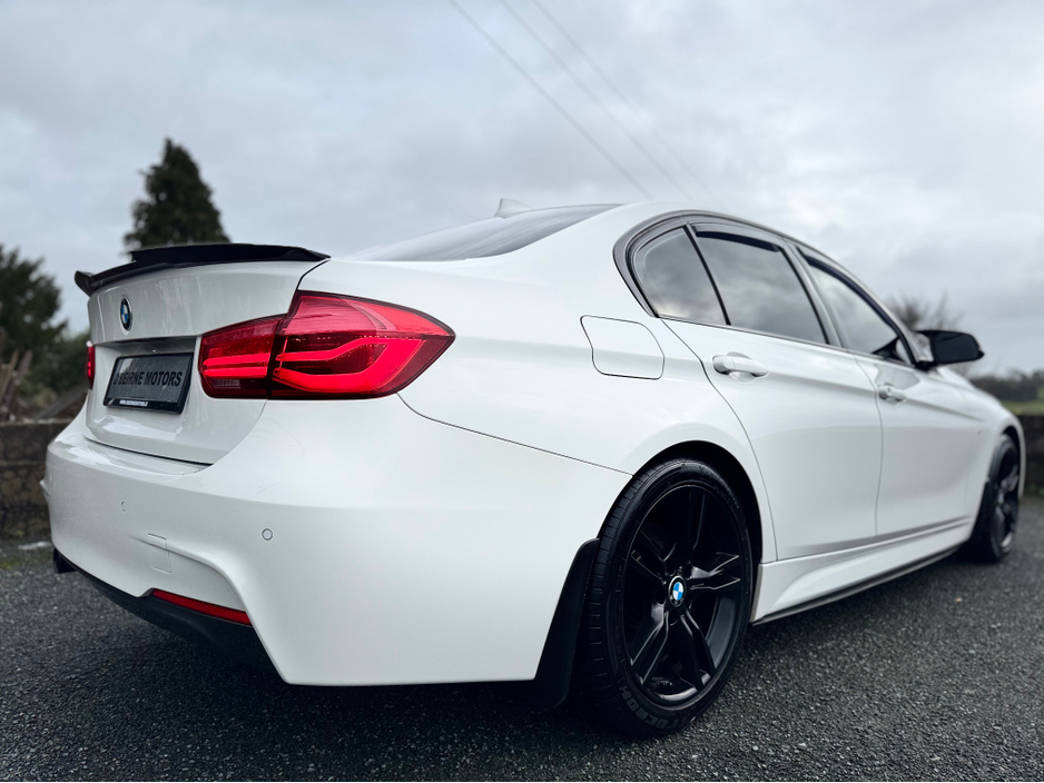 2017 BMW 3 Series ALPINE WHITE 318D MSPORT AUTO €17,950