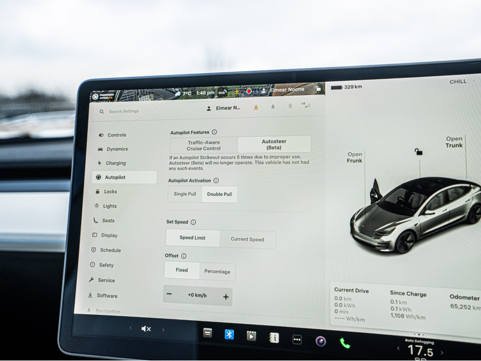 2020 Tesla Model 3 - image 22
