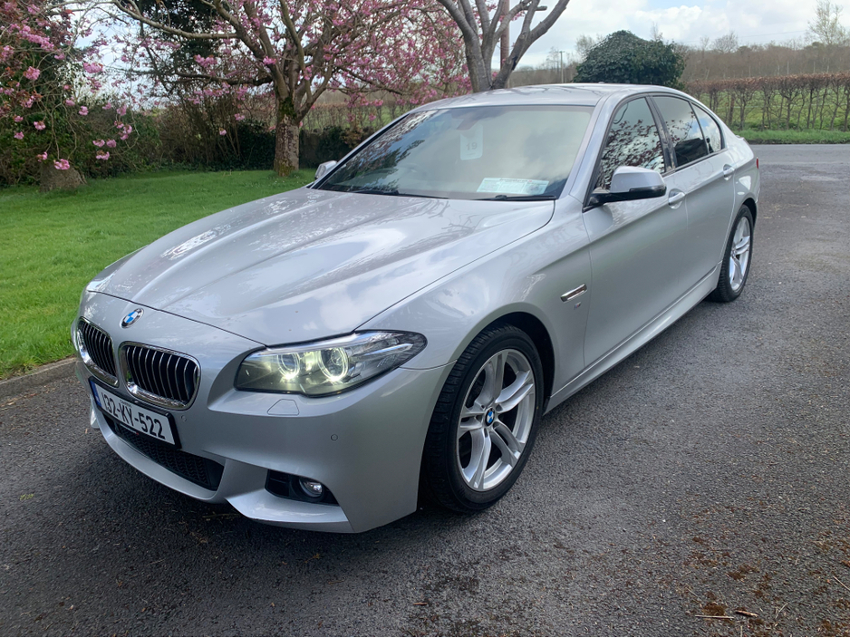 2013 BMW 5 Series - image 13