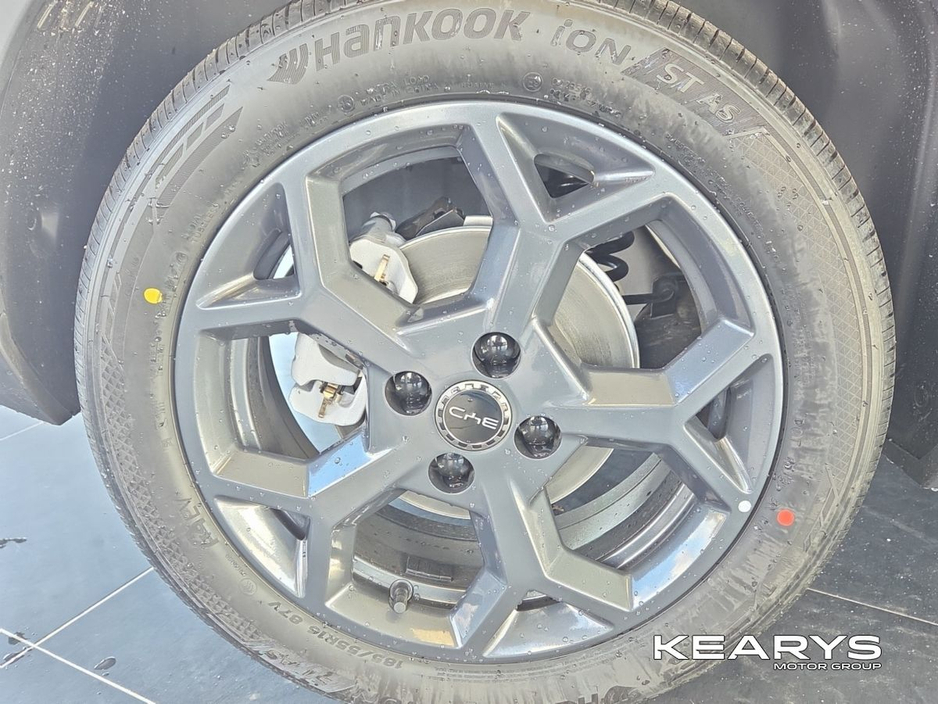 2026 BYD Dolphin - image 12