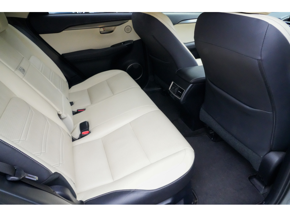 2018 Lexus NX 300 h - image 4