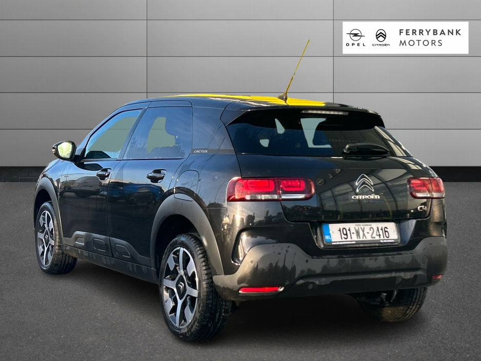 2019 Citroen C4 Cactus FEEL BLUEHDI 100 S&S €15,950