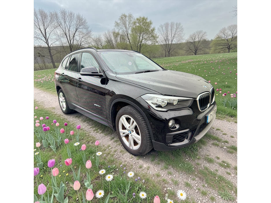 2017 BMW X1 - image 5