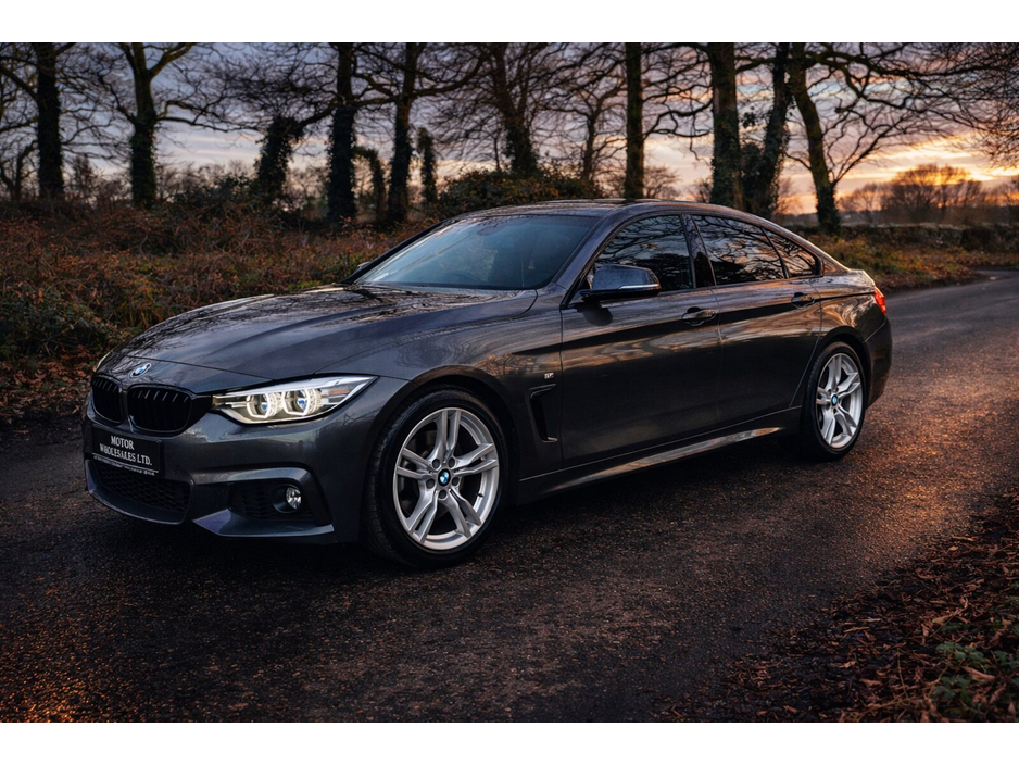 2017 BMW 4 Series 420d M Sport Auto €19,850
