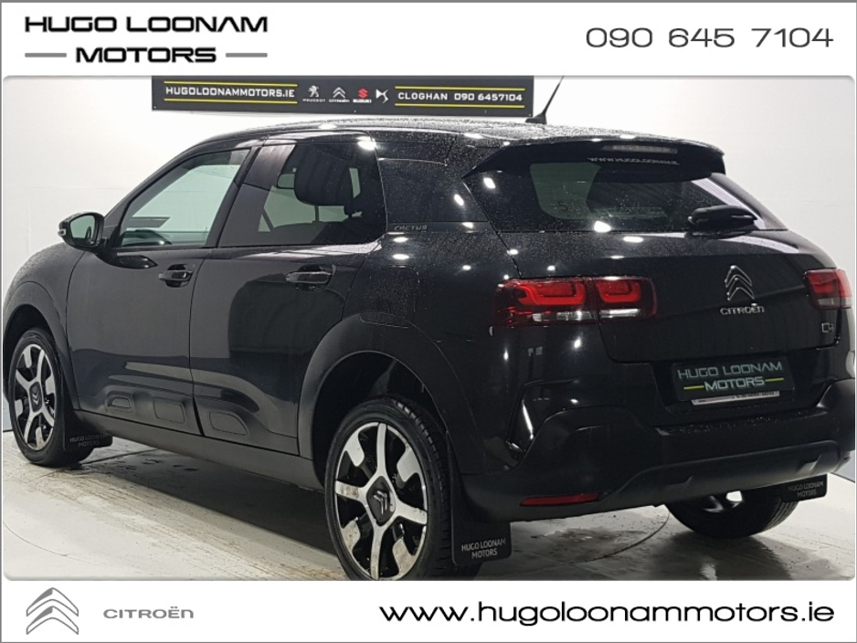 2019 Citroen C4 Cactus FEEL BLUEHDI 100 S&S 4DR €11,995