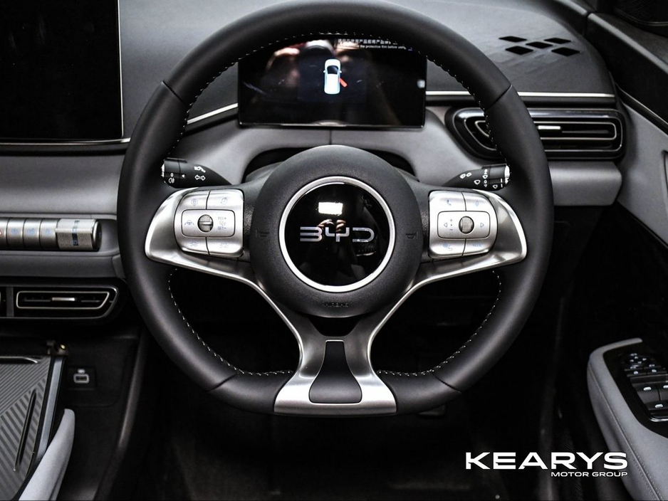 2026 BYD Dolphin Surf - image 12