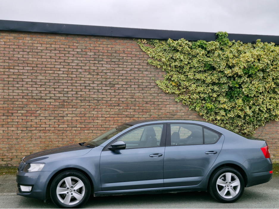 2016 Skoda Octavia - image 7