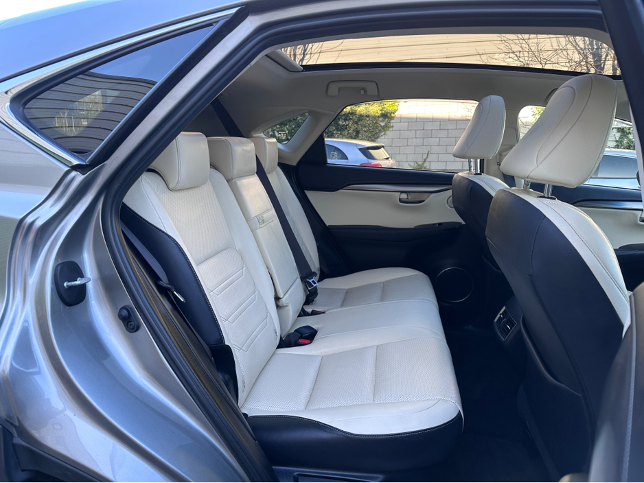 2018 Lexus NX 300 h - image 8