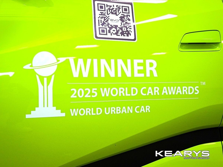 2026 BYD Dolphin Surf - image 10