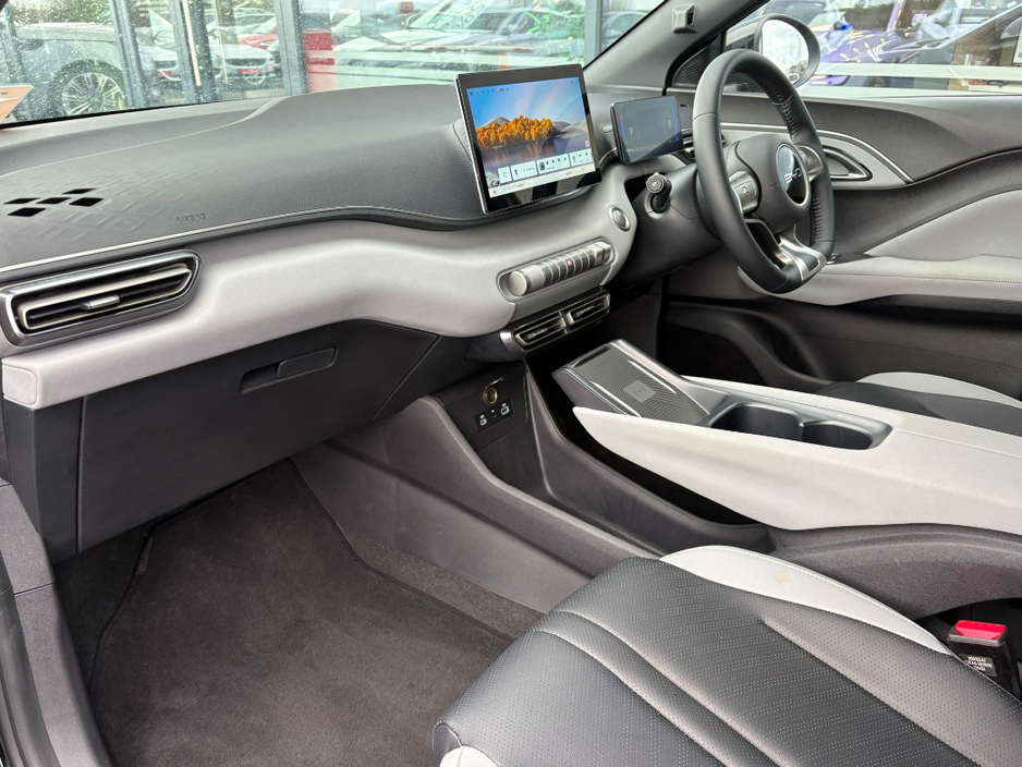 2025 BYD Dolphin Surf - image 6