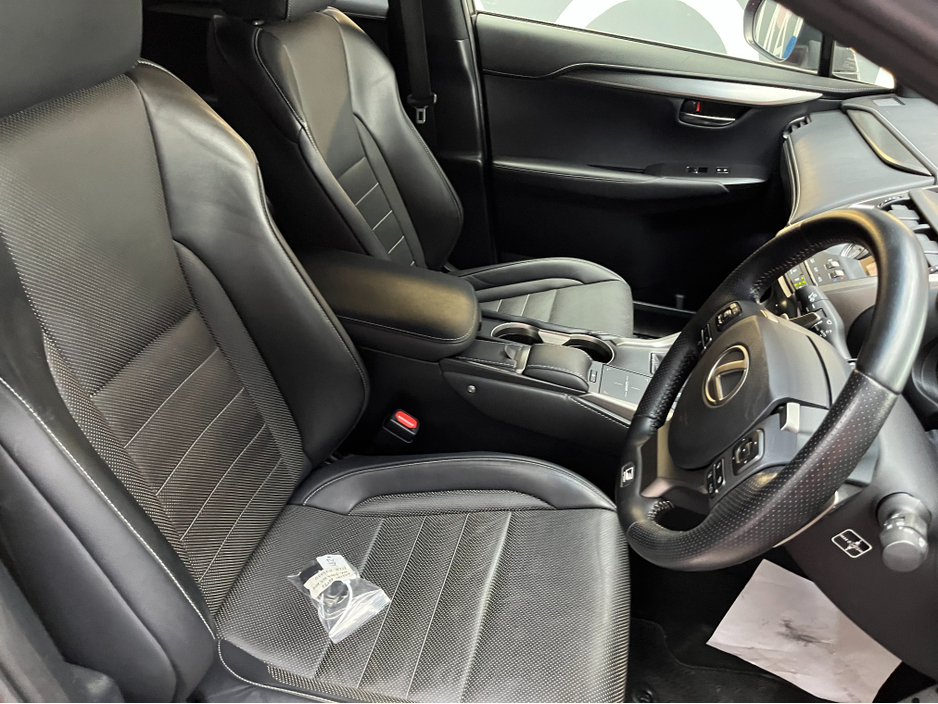 2018 Lexus NX 300 h - image 12