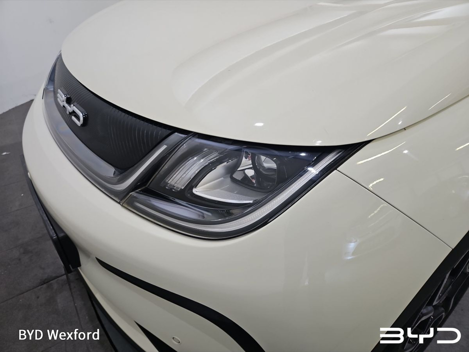 2024 BYD Dolphin - image 29