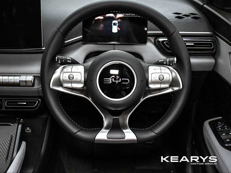 2026 BYD Dolphin Surf - image 19