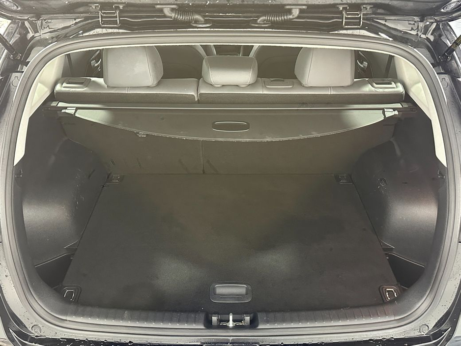 2019 Kia Niro EV 450 Kms Range 64KW/H Battery 192 €16,400