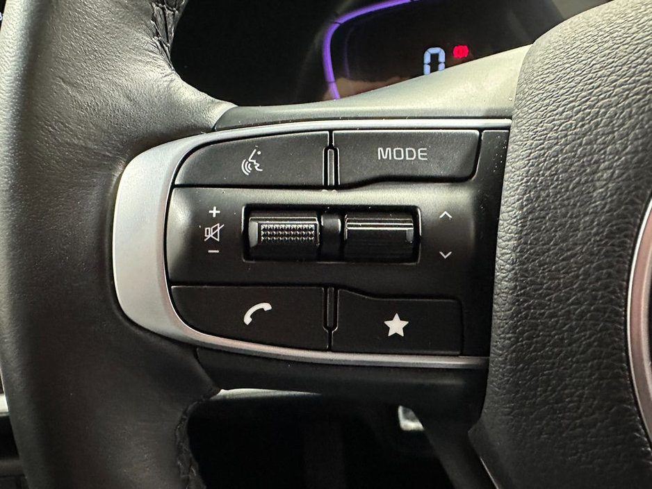 2025 Kia Sportage - image 13