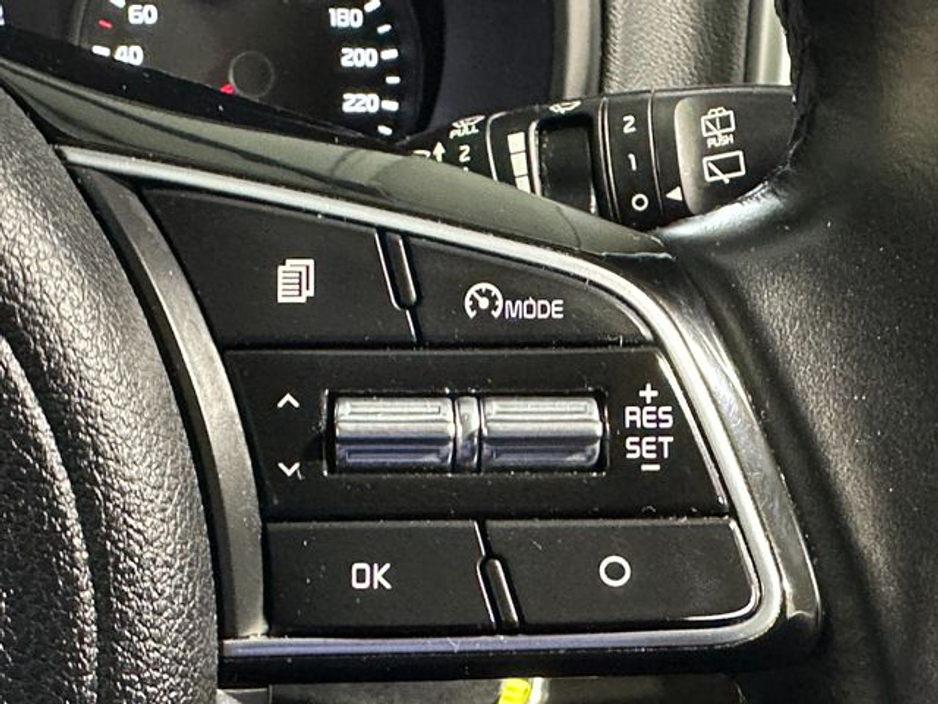 2021 Kia Sportage K3 Mhev MY21 5DR