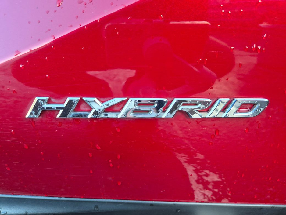 2020 Lexus NX 300 h - image 40