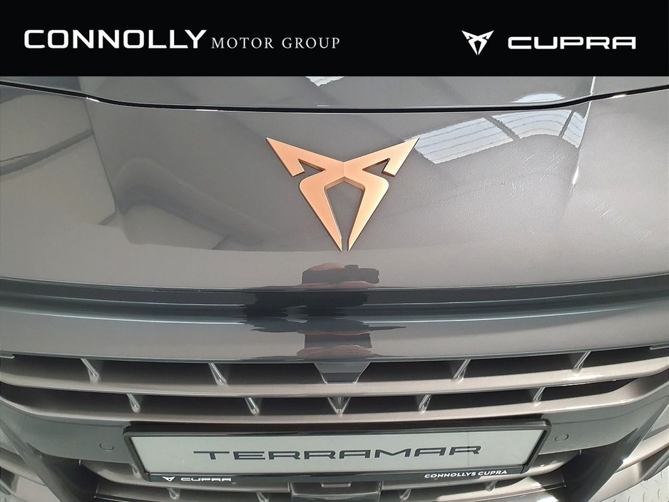 2026 Cupra Terramar - image 21