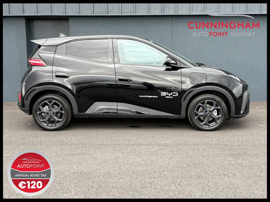 2025 BYD Dolphin Surf - image 3