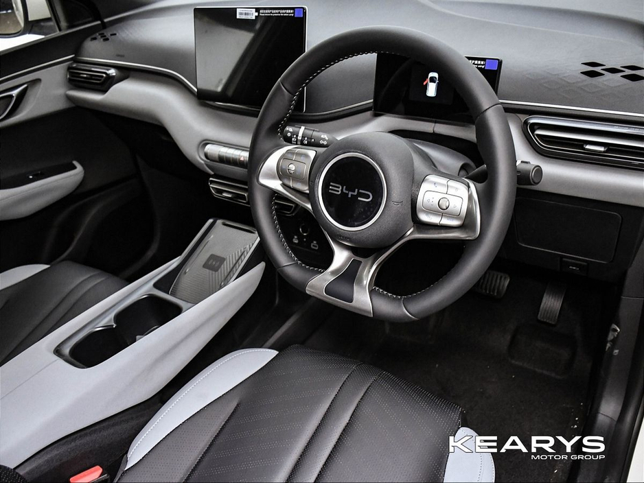 2026 BYD Dolphin Surf - image 9