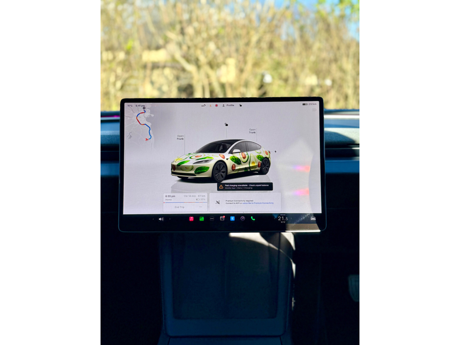 2025 Tesla Model 3 - image 24