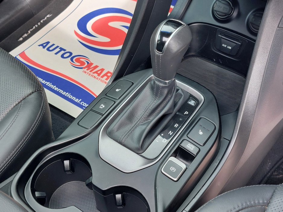 2016 Hyundai Santa Fe 2.2 CRDi 4WD Premium Auto €19,990