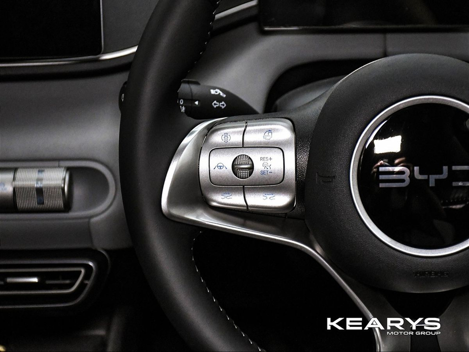 2026 BYD Dolphin Surf - image 13