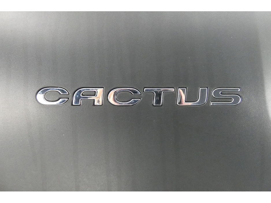 2017 Citroen C4 Cactus - image 20