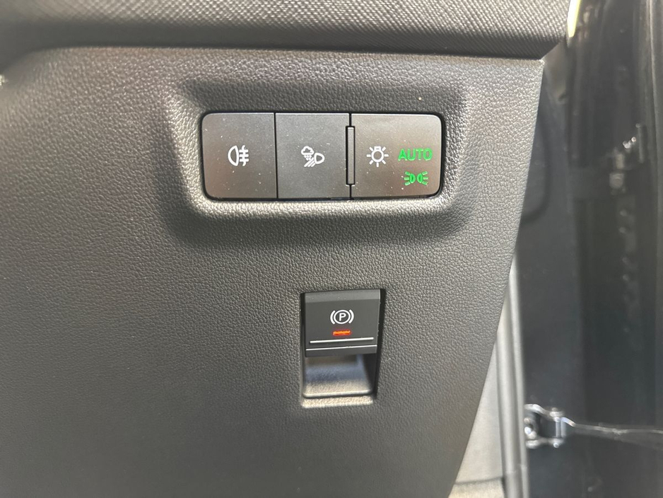 2024 Skoda Kodiaq - image 22