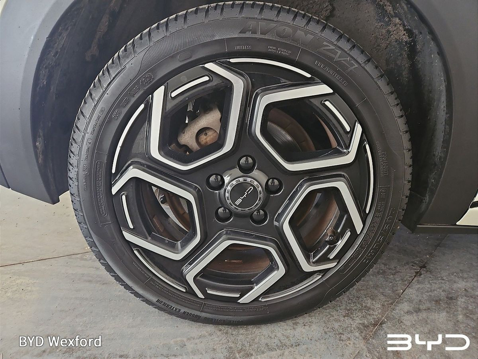 2024 BYD Dolphin - image 5