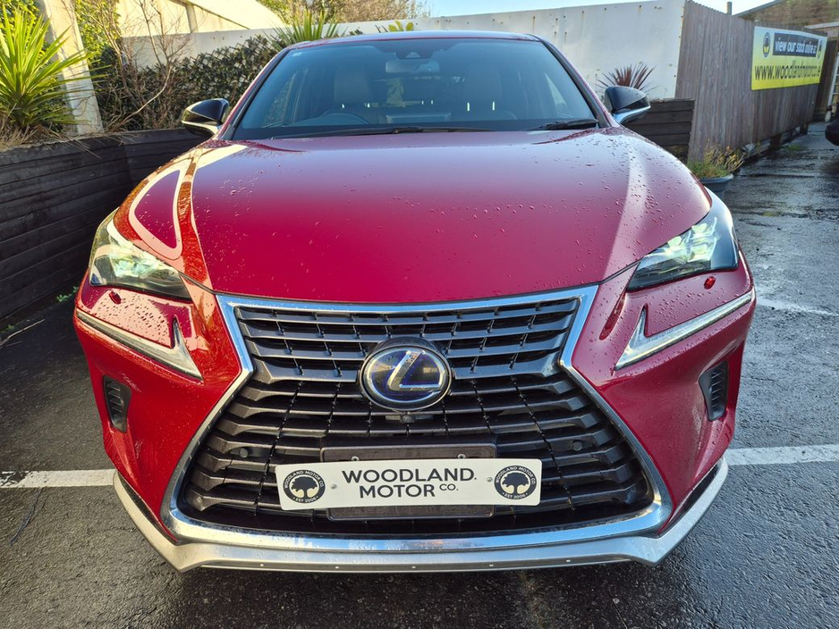 2020 Lexus NX 300 h - image 4