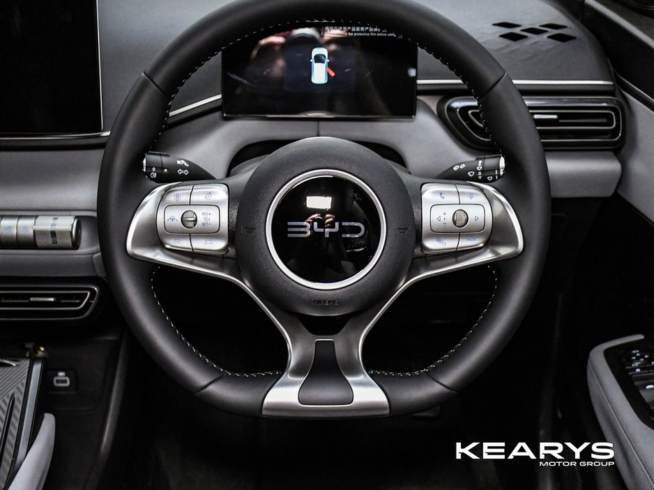 2026 BYD Dolphin Surf - image 18