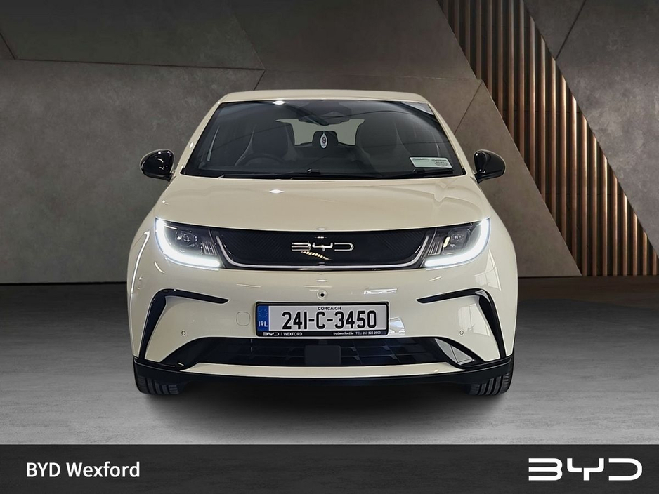 2024 BYD Dolphin - image 2