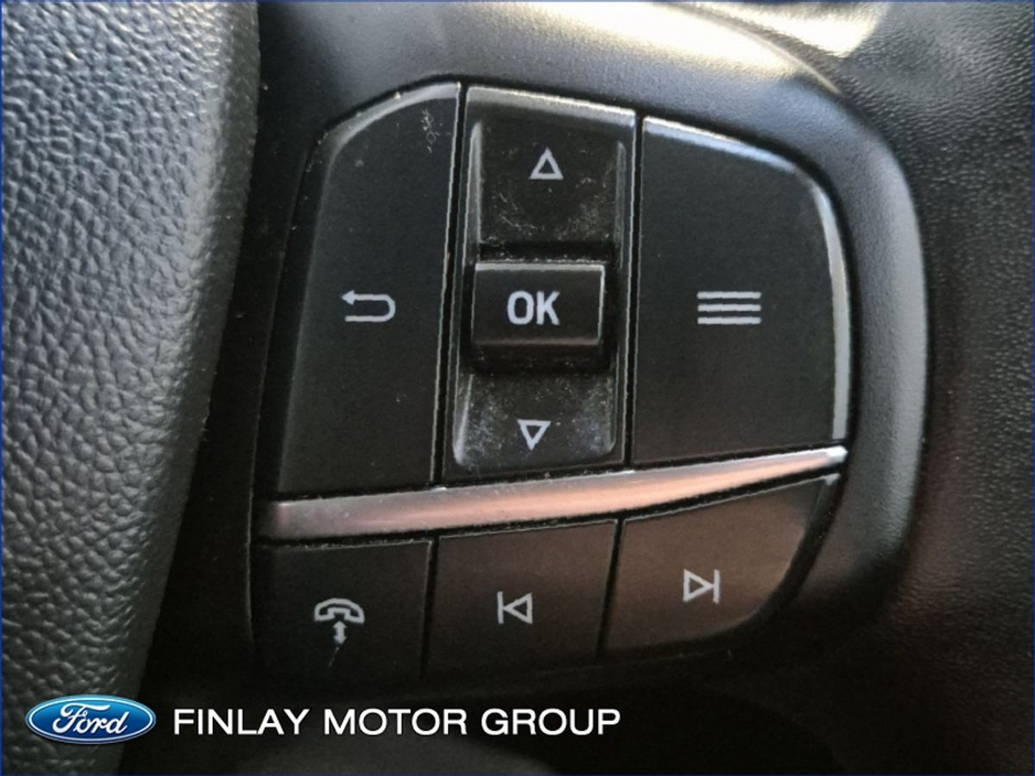 2025 Ford Courier LIMITED 1.5 L ECOBLUE 100BHP M6 €123,456