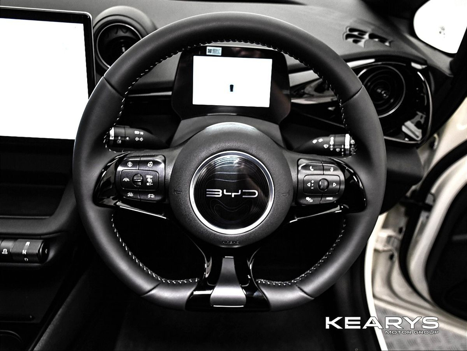 2026 BYD Dolphin - image 12