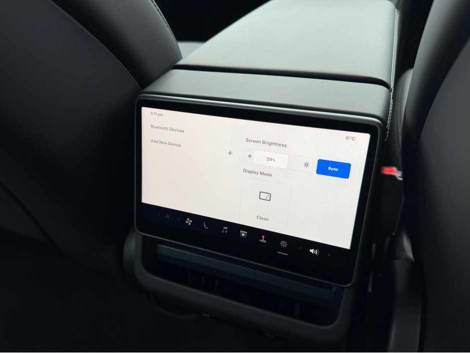 2025 Tesla Model 3 - image 30