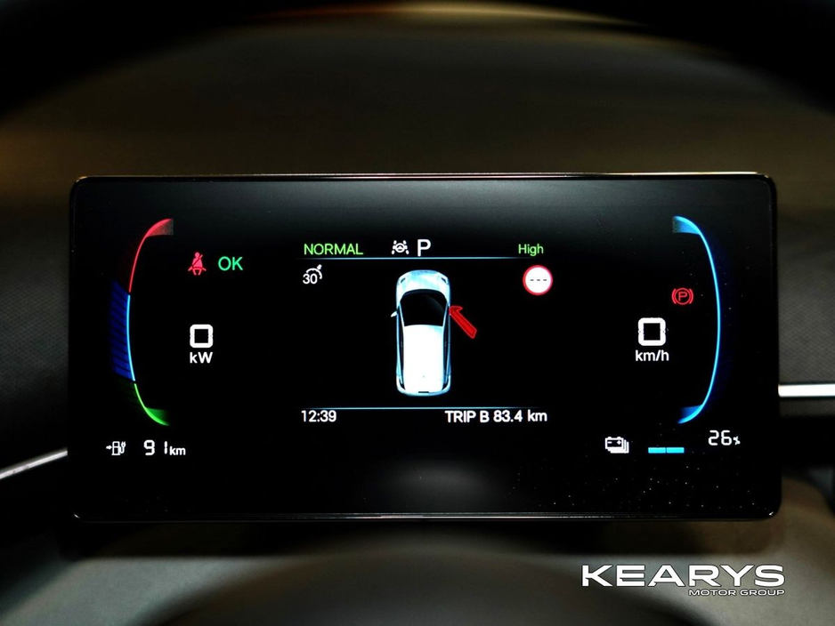 2026 BYD Dolphin Surf - image 18