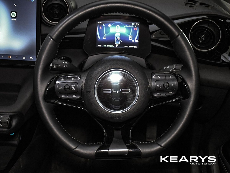 2025 BYD Dolphin - image 16