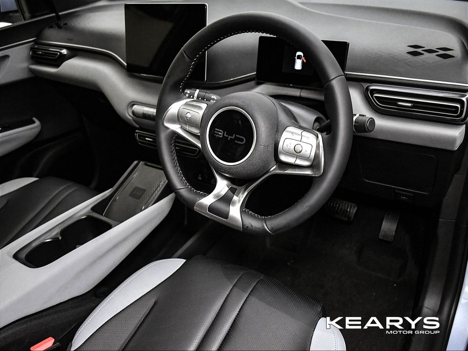 2026 BYD Dolphin Surf - image 11