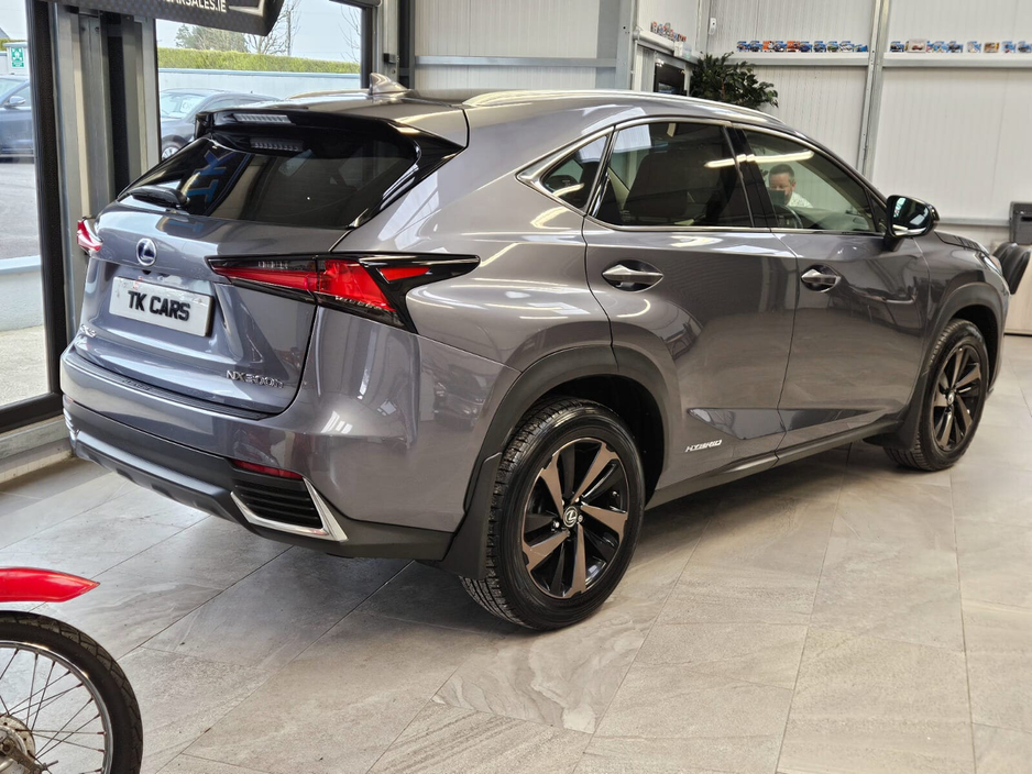 2018 Lexus NX 300 h - image 3