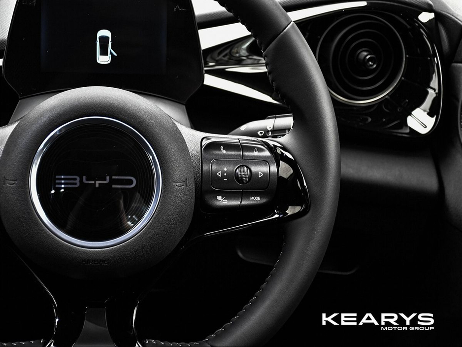 2025 BYD Dolphin - image 14