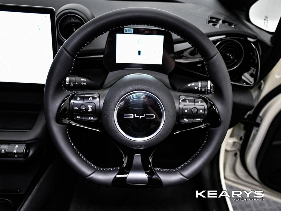 2026 BYD Dolphin - image 29