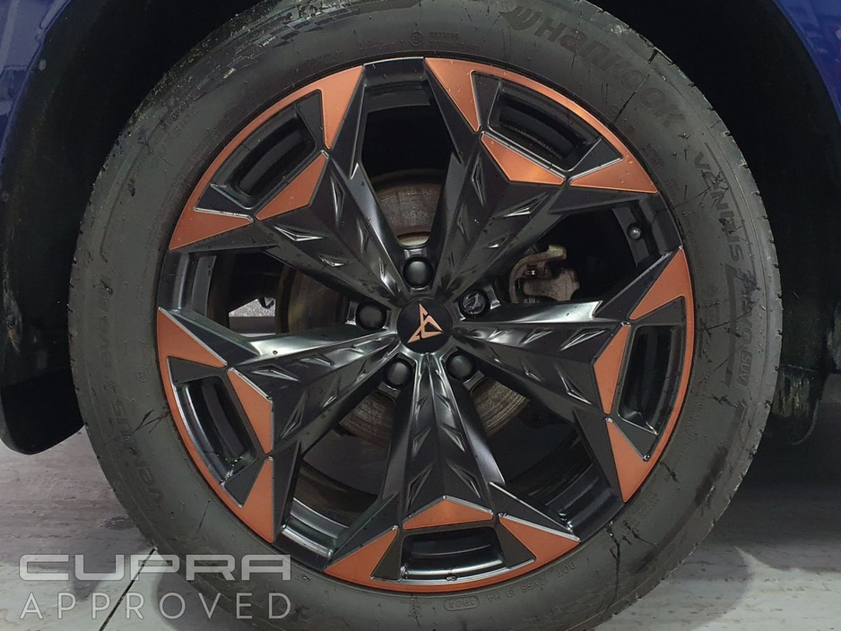 2025 Cupra Terramar - image 6