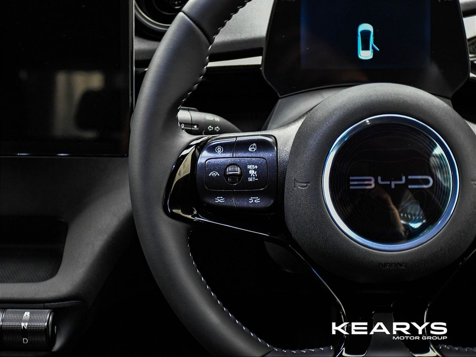 2026 BYD Dolphin - image 10