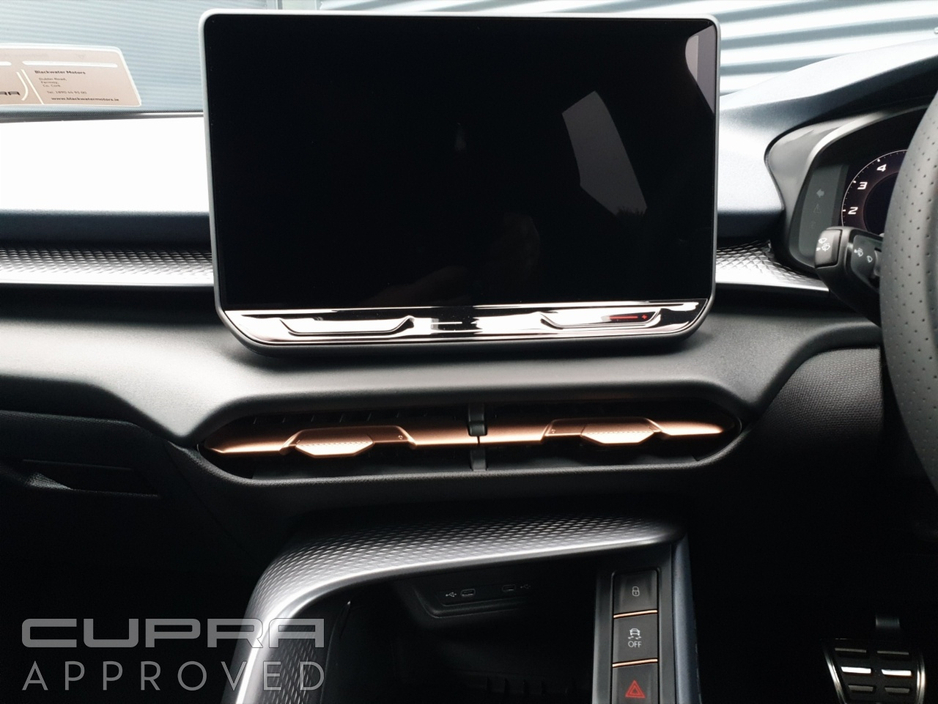 2026 Cupra Terramar - image 13